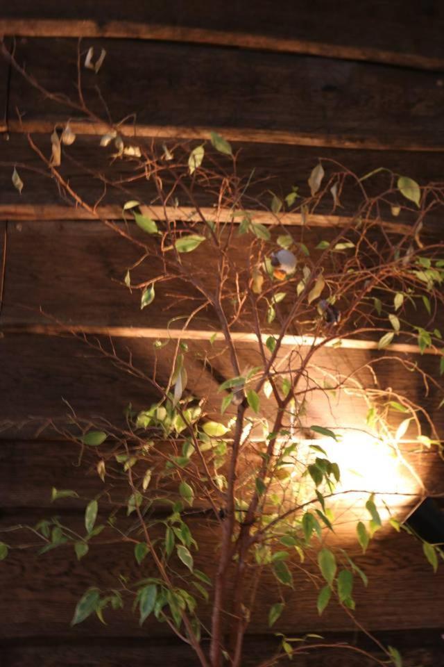베를린 Einzigartiges 140Qm Loft - Party Ist Erlaubt! 아파트 외부 사진
